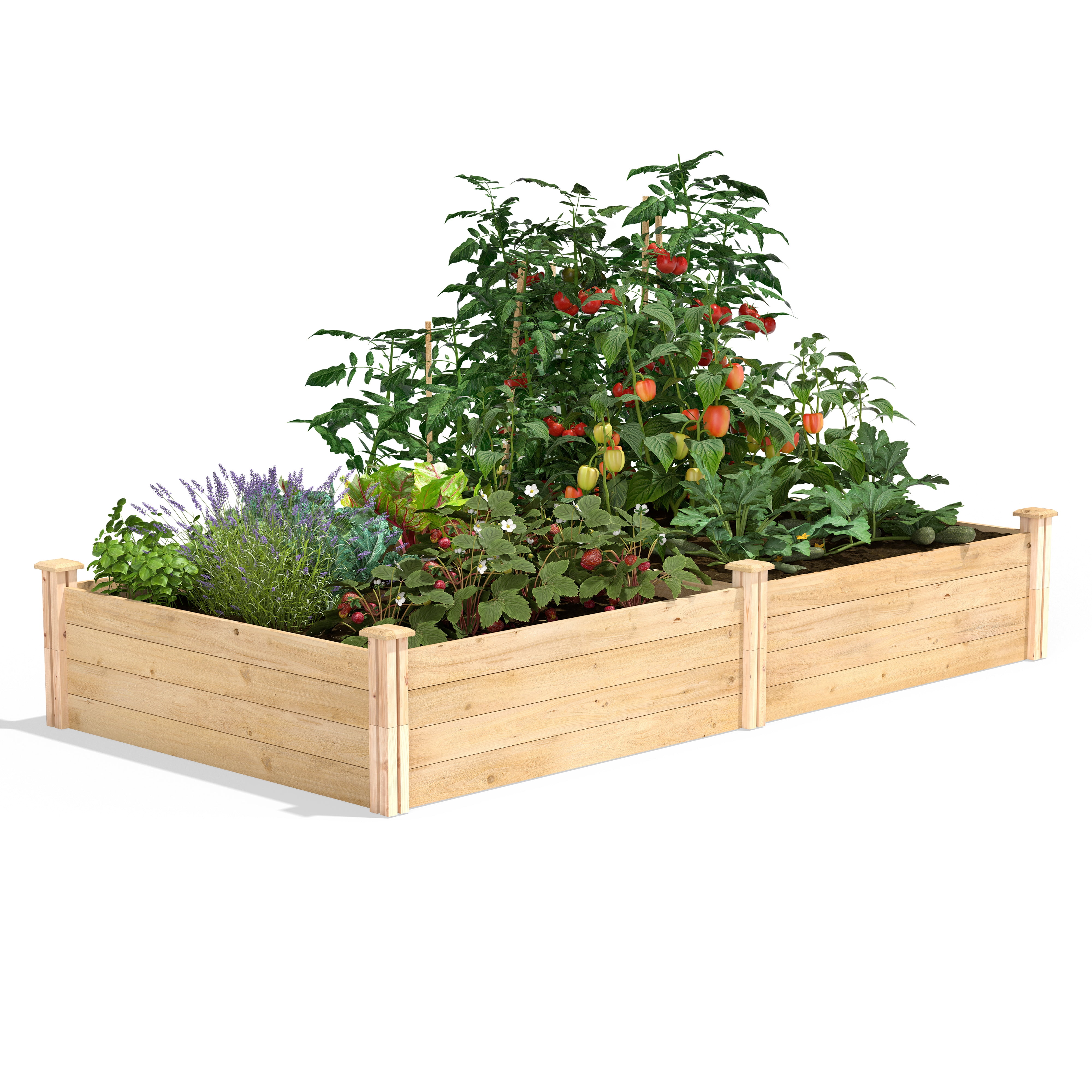 Natural Cedar 4' x 8' x 14" Raised Garden Bed