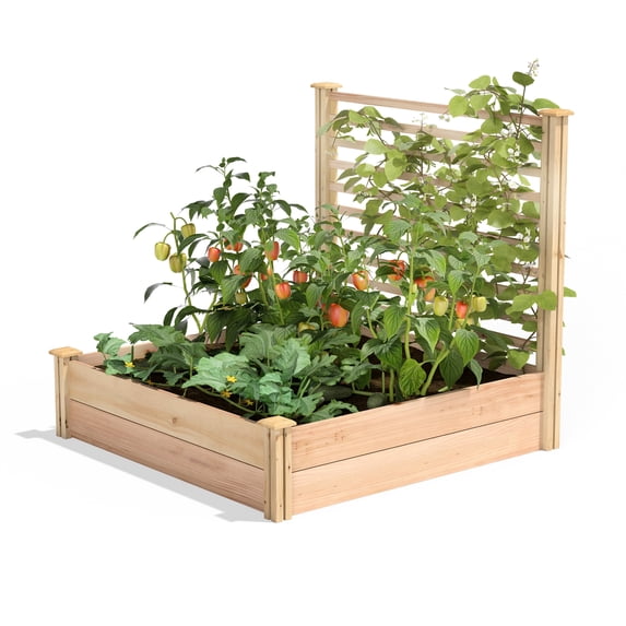 Greenes Fence 48" x 48" x 11" Beige Cedar Raised Garden Kit with Trellis