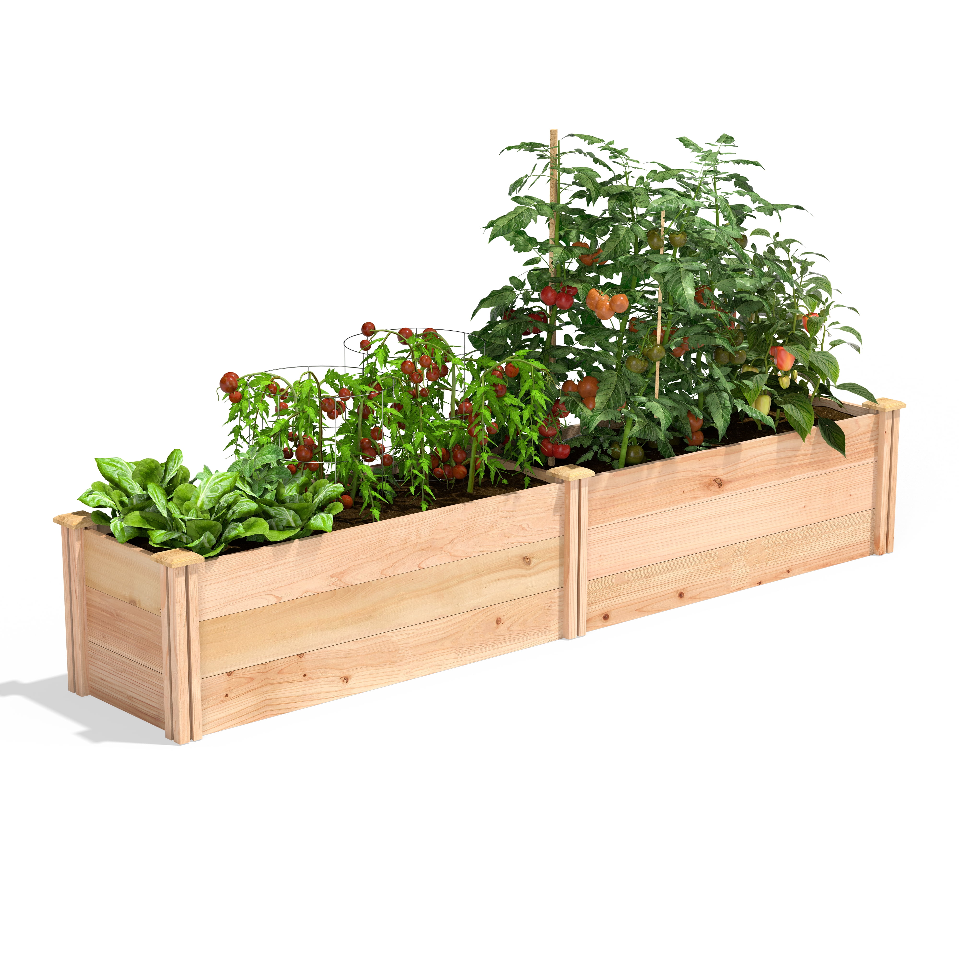 Premium Cedar 16.5" x 96" Raised Garden Bed