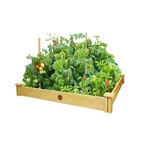 Miracle-Gro 48" Square x 5.5" H Cedar Elevated Garden Bed Kit
