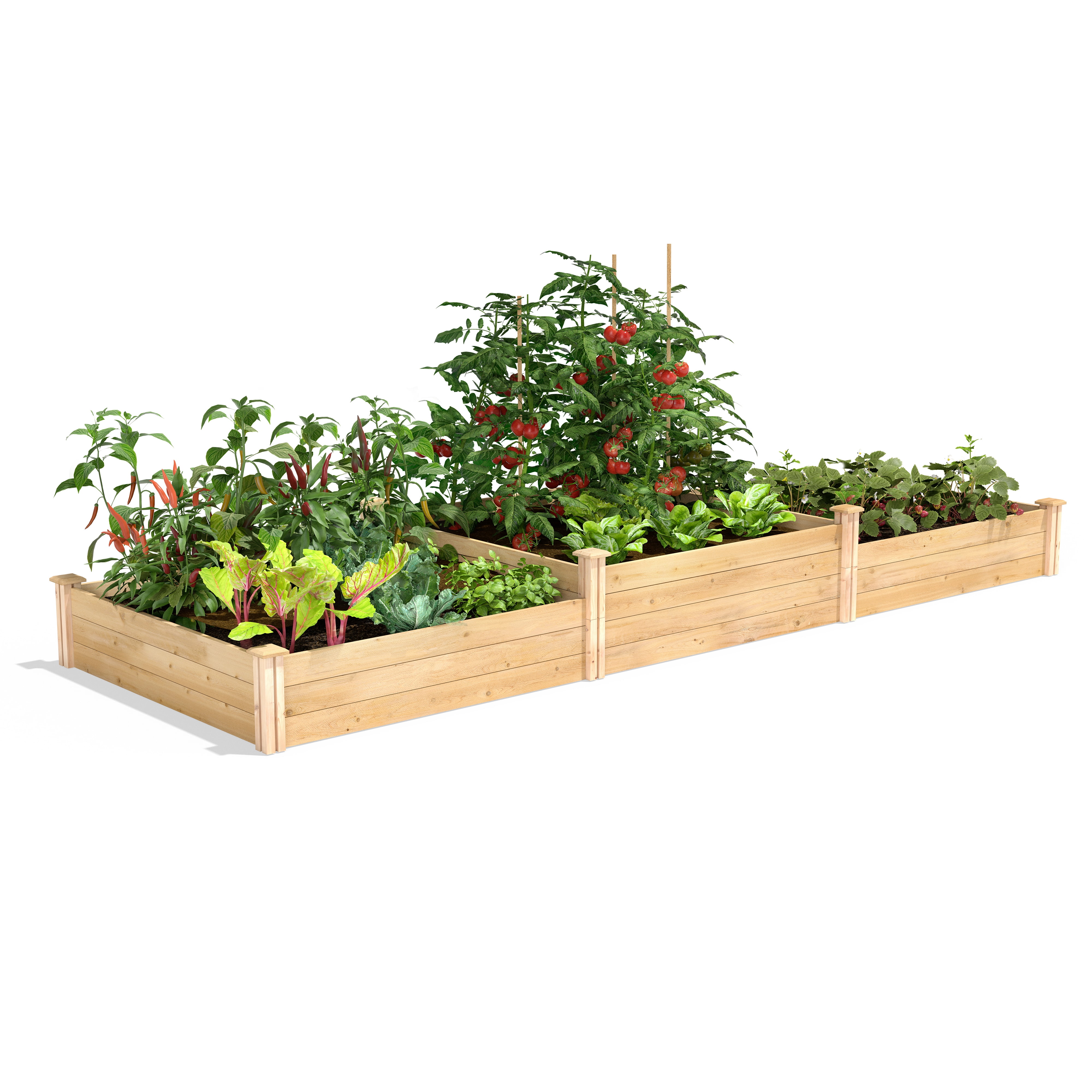 Cedar Wood Tall Tiers Raised Garden Bed