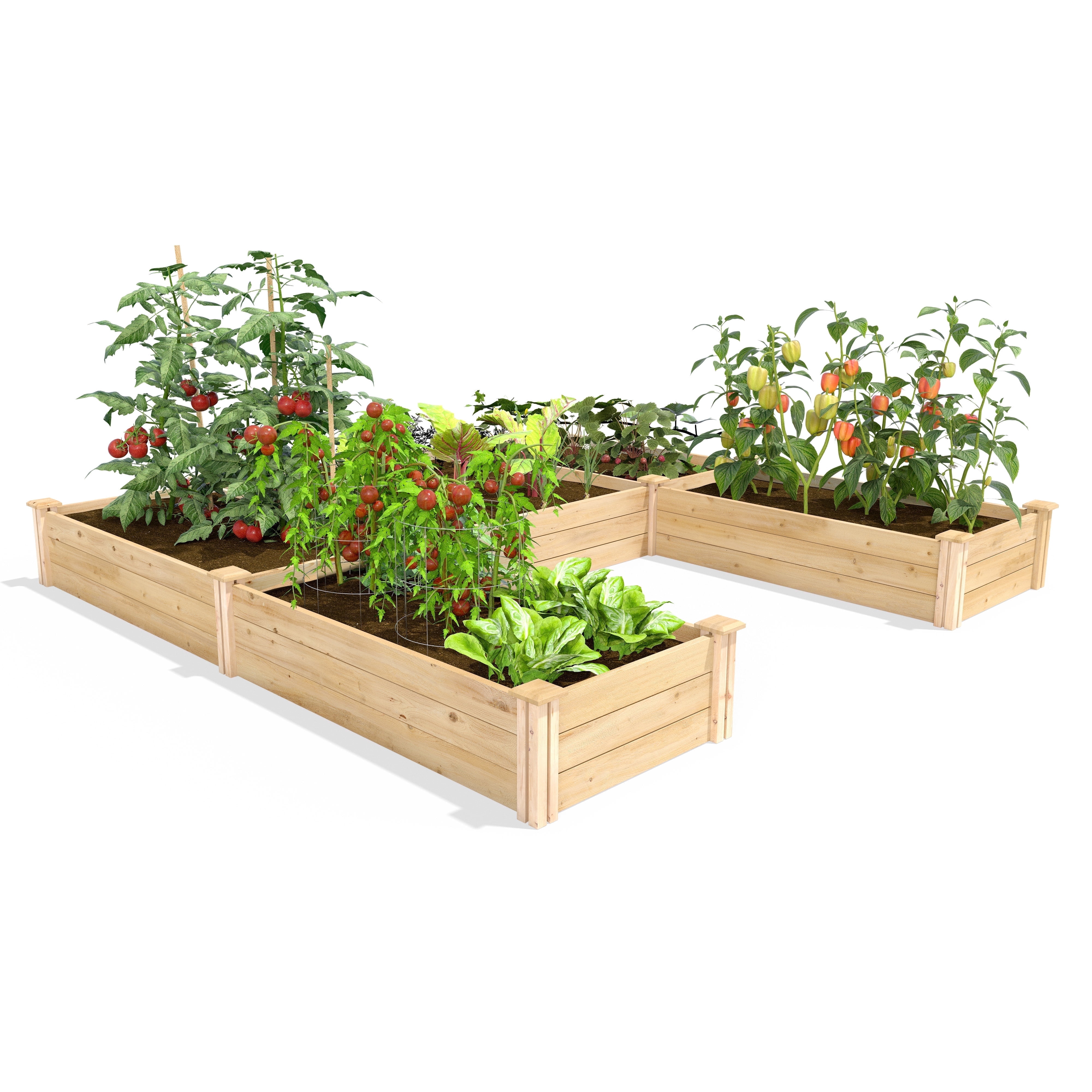 Greenes Fence  8' x 8' x 10.5" (3/4" Thick) U-Shaped Premium Cedar Raised Garden Bed