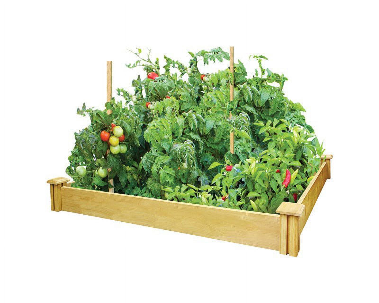 Greenes 48" x 48" Brown Cedar Raised Garden Bed
