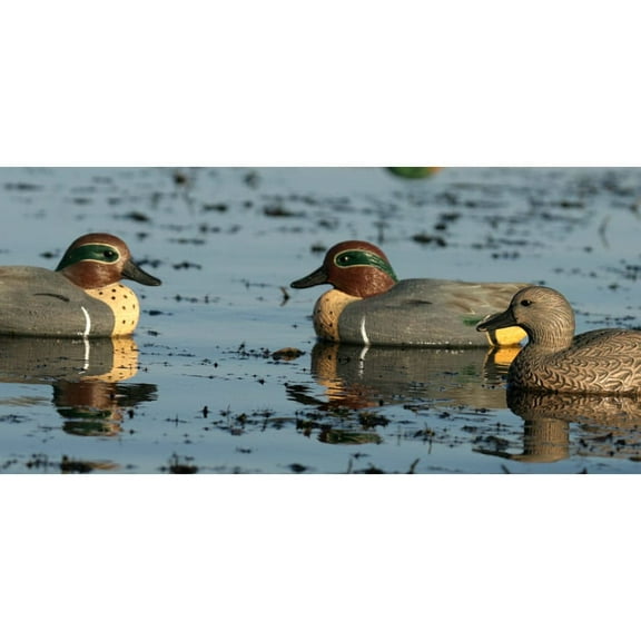 Greenhead Gear Life-Size Duck Decoy,Green-Winged Teal,1/2 Dozen