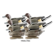 Greenhead Gear Life-Size Duck Decoy,Pintails,1/2 Dozen