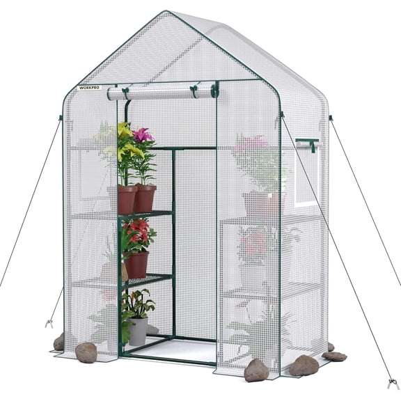 Greenhouse, 56"X 28" X 77" Portable Small Greenhouses for Outdoors & Indoors, Sturdy Green House Kit with Thicken PE Cover, Windows, 3 Tier 4 Shelves for Patio, Backyard, Balcony