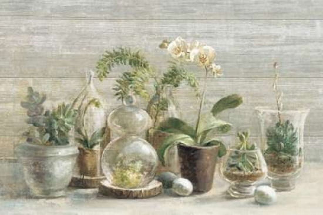 Greenhouse Orchids on Wood Canvas Art - Danhui Nai (12 x 18)