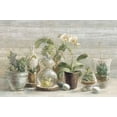 thumbnail image 1 of Greenhouse Orchids on Wood Poster Print by Danhui Nai (24 x 36), 1 of 1