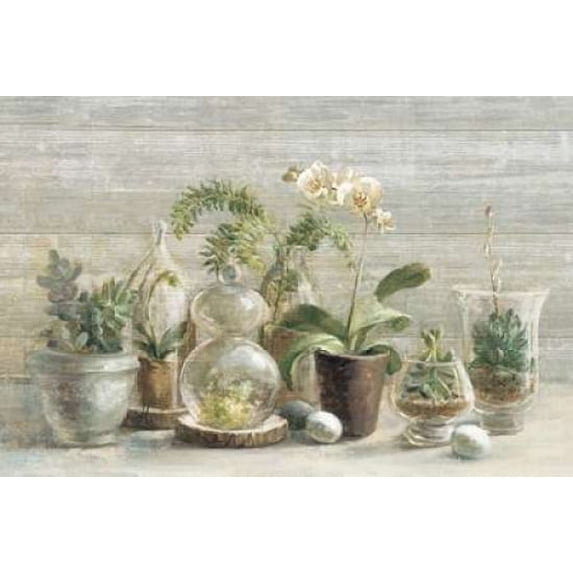 Greenhouse Orchids on Wood Poster Print by Danhui Nai (24 x 36)