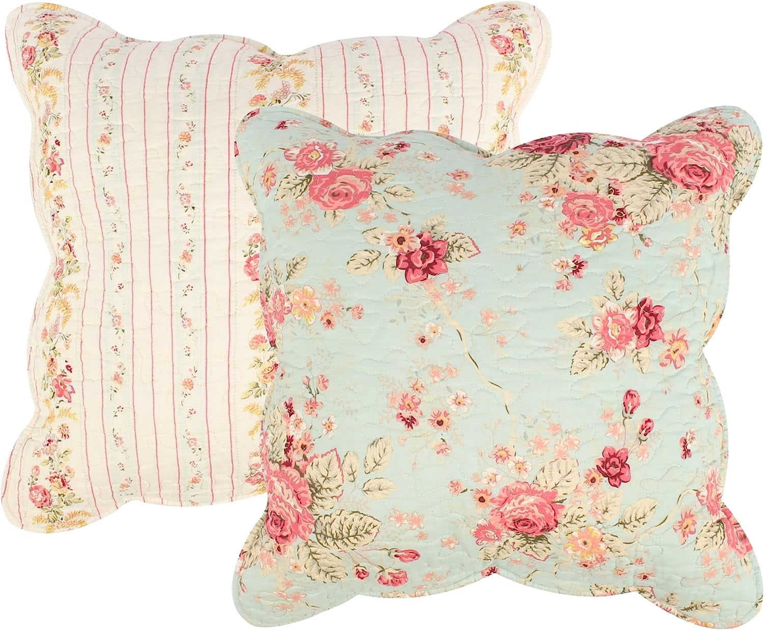 Elevate Your Home Decor with a Set of Two Decorative Pillows