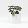thumbnail image 1 of Greenline Jack Square Cube Planter - Indoor/Outdoor Large Fiberglass Lightweight Planter - 20" x 20" x 20" (Gloss White), 1 of 7