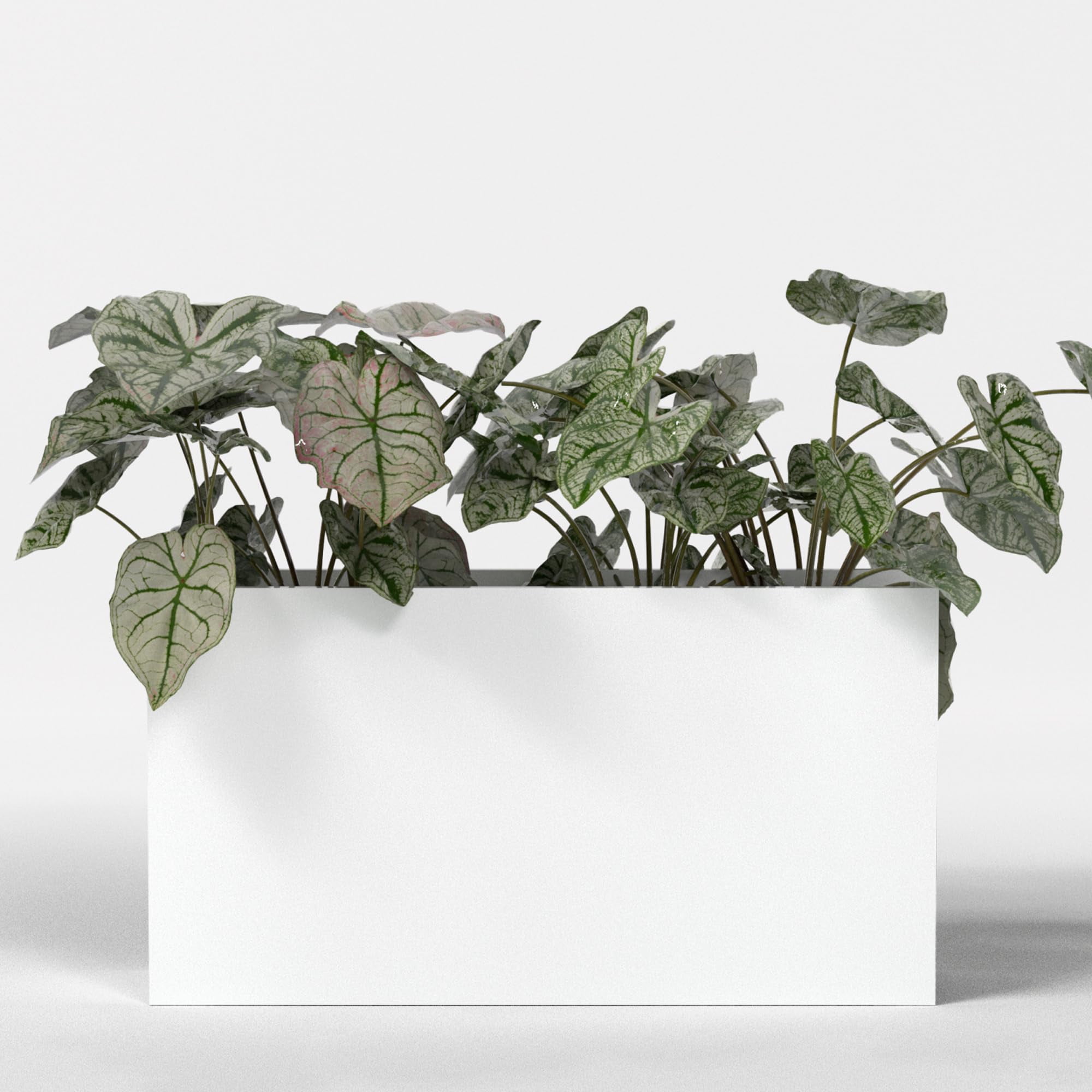 Greenline Leo Rectangle Planter - Indoor/Outdoor Large Fiberglass ...