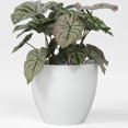 thumbnail image 1 of Greenline Fiberglass Lucy Medium Indoor/Outdoor Round Planter - 15" x 15" x 13" (Gloss White), 1 of 7