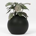 thumbnail image 1 of Greenline Nala Globe Planter - Indoor/Outdoor Large Fiberglass Lightweight Planter - 24" x 24" x 19" (Matte Black), 1 of 7