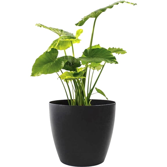 GreenLine Manufacturing American Essence 15 Inch Round Plastic Planter, Indoor and Outdoor Decorative Plant Pot, Black