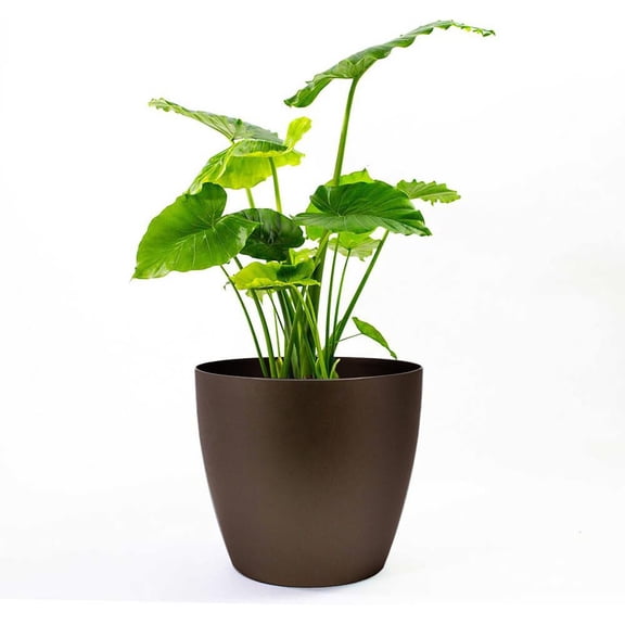 GreenLine Manufacturing American Essence 15 Inch Round Plastic Planter, Indoor and Outdoor Decorative Plant Pot, Espresso Metallic