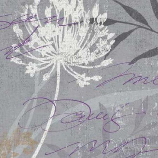 Greenology Gray - I Canvas Art - Lisa Audit (24 x 24)