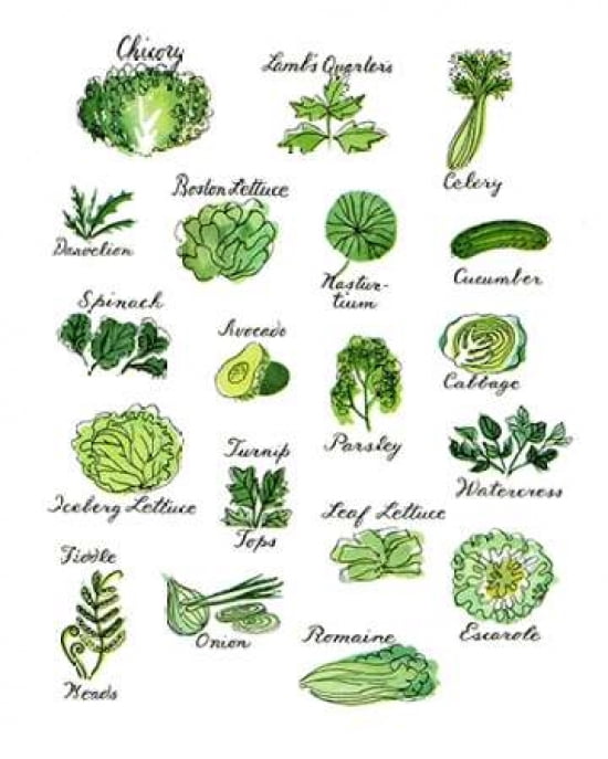 Greens II Canvas Art - Amy Cummings (24 x 30)