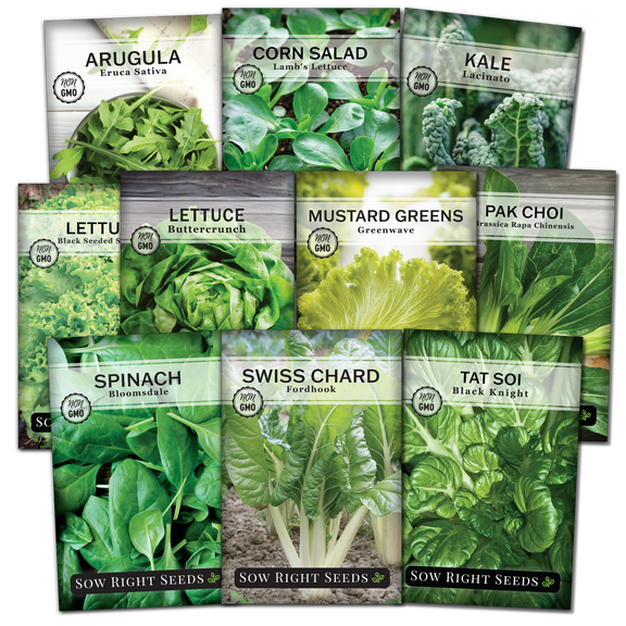 Greens and Lettuce Seed Collection - Non GMO Varieties - 10 Count