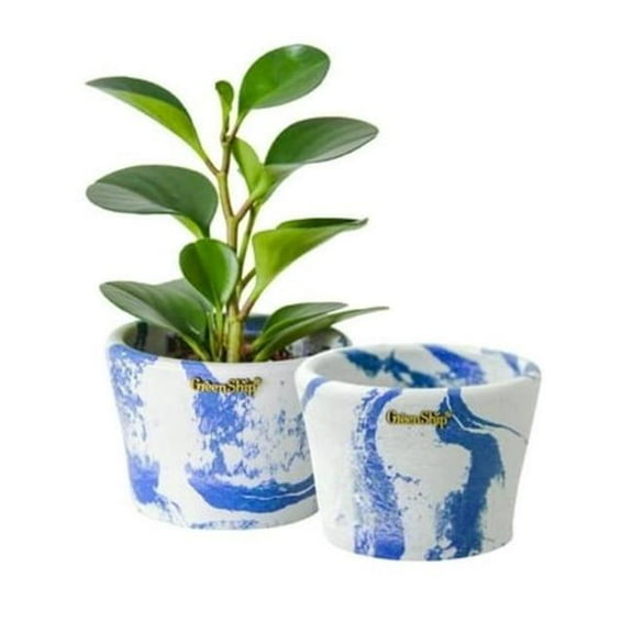 Greenship R-12AD13SBWS-2 5 in. Indoor Planter Pot with Drainage Hole - Swirl Blue White Stone, Pack of 2