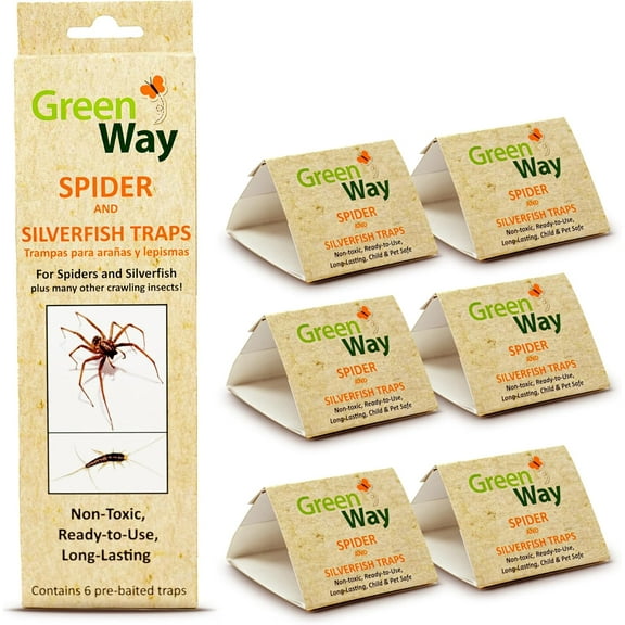 Greenway Silverfish and Spider Traps, Non-Toxic Indoor with High-Strength Glue for Safe, Effective Home Protection, 1 Pack (Includes 6 Traps)