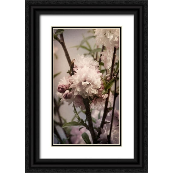 Greenwood, Julie 15x24 Black Ornate Wood Framed with Double Matting Museum Art Print Titled - Blossoming Almond 2