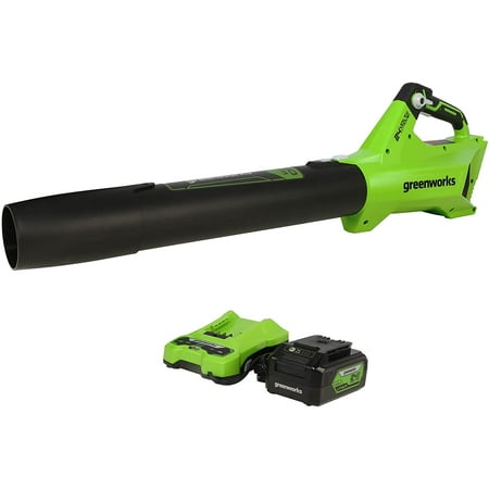 Greenworks - 24-Volt 110 MPH 450 CFM Cordless Handheld Blower (1 x 4.0Ah Battery and 1 x  Charger) - Black/Green
