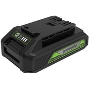 Greenworks 24 V 2 Ah Usb Battery 2949702AZ Power Tool Battery with Owner's Manual, for Phones, 1 Pack