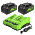 thumbnail image 1 of Greenworks 24V 4.0Ah USB (2-pack) Starter Kit with 4A Dual Port Charger, 1 of 10
