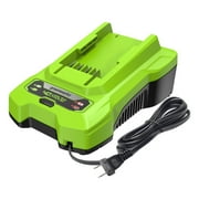 Greenworks 40V Lithium Ion Single Port Rapid Battery Charger