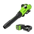 thumbnail interactive-video image 1 of Greenworks 60V 750 CFM 180 MPH Leaf Blower with 4.0 AH HC Battery and 6 Amp Charger 2429802, 1 of 21