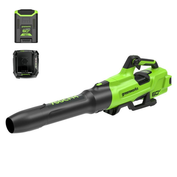 Greenworks 750 CFM 170 MPH Leaf Blower with 4.0 AH HC Battery and 6 Amp Charger 2429802