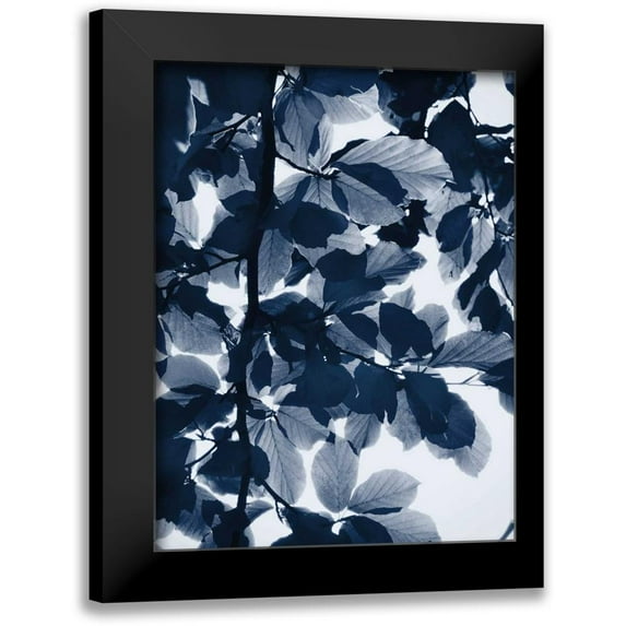 Greer, Lexie 12x14 Black Modern Framed Museum Art Print Titled - Indigo Leaves