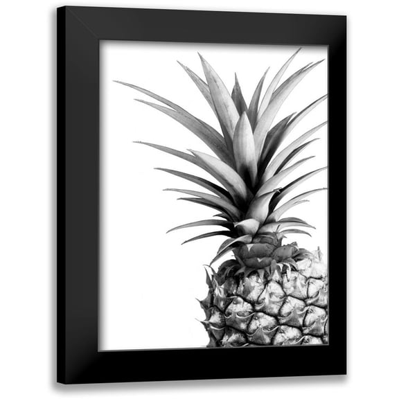 Greer, Lexie 19x24 Black Modern Framed Museum Art Print Titled - Pineapple - BW