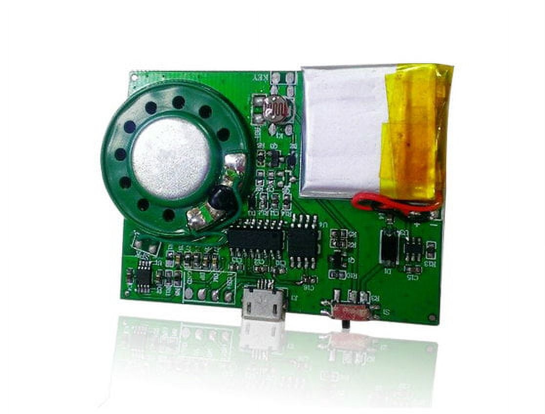 Greeting Card Sound Module Activated by Light Sensor - Walmart.com
