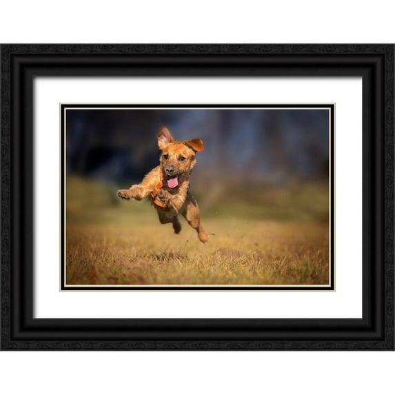 Gregor 14x11 Black Ornate Wood Framed with Double Matting Museum Art Print Titled - Happy Scooby