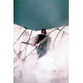 thumbnail image 1 of Gregory Peck in Moby Dick Color 24x36 Poster on side of whale, 1 of 1