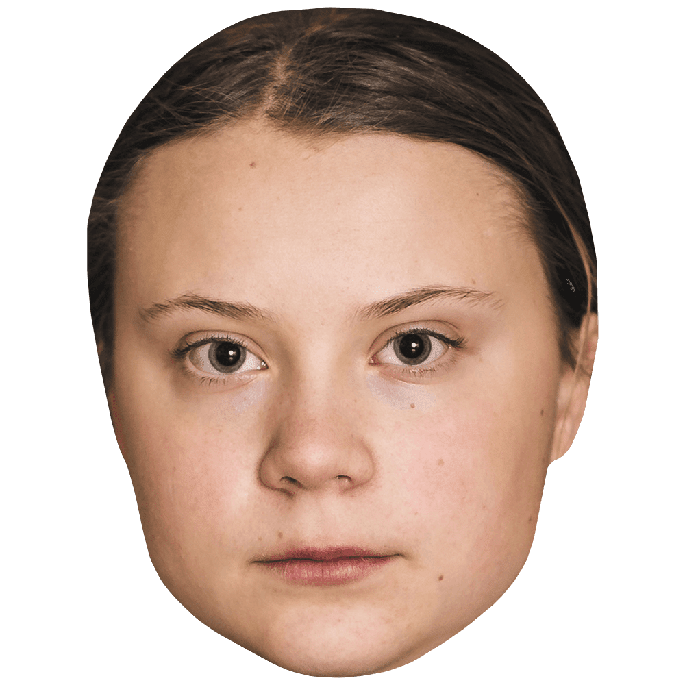 Greta Thunberg (Serious) Celebrity Mask, Flat Card Face, Fancy Dress