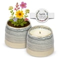 thumbnail image 1 of Hyggelight | The Growing Candle Unscented Soy Candles with Wildflower Seeds,Juniper Citronella Candle in Greta Stone Grey Ceramic Container, 1 of 12
