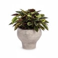 thumbnail image 1 of Grevelle Rounded Ceramic Vase, 1 of 6
