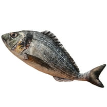Grey A Trout Fish Plush Toy Doll For Sleep Pillow Soft Simulation Stuffed Animal 24 Inch Size Aquarium Theme Decorative Companion Gift