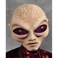 thumbnail image 1 of Grey - Alien - Mask, 1 of 1