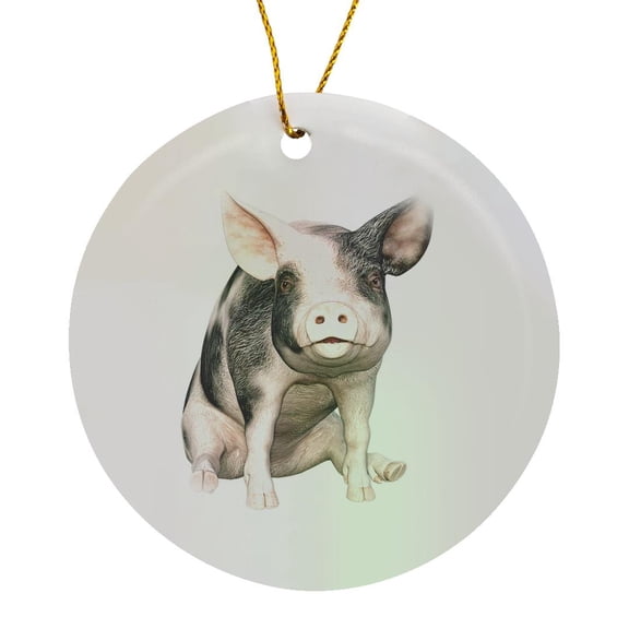 3drose, Grey and White Pig Sitting down and Looking Forward, Circle Porcelain Ornament