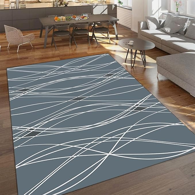 Grey And White Simple Art Area Rug, Modern Spiral Wavy Stripes Home ...