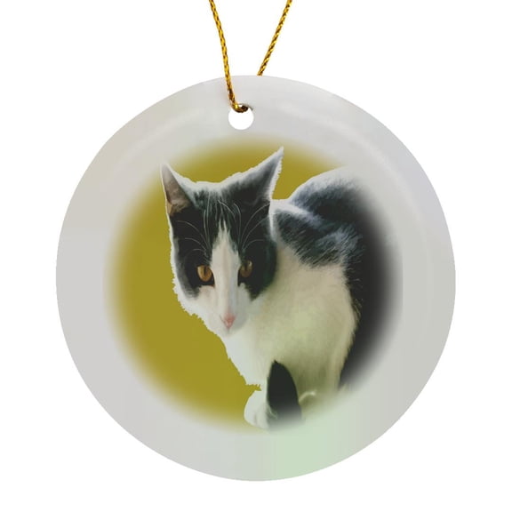 3drose, Grey and White Tuxedo Cat Vector Art, Circle Porcelain Ornament