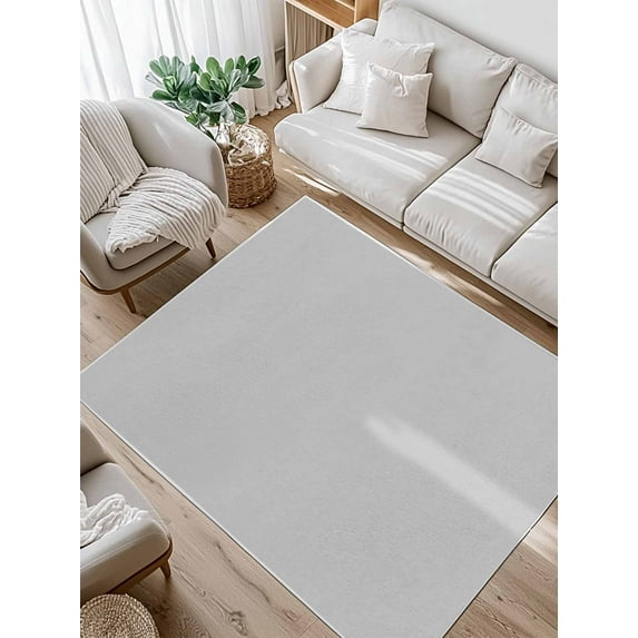 Grey Area Rug for Bedroom 3x5 Ft Solid Color Super Soft fuzzy Throw Rug Non-Slip Fluffy Plush Indoor Floor Carpet for Living Room Nursery Home Decor