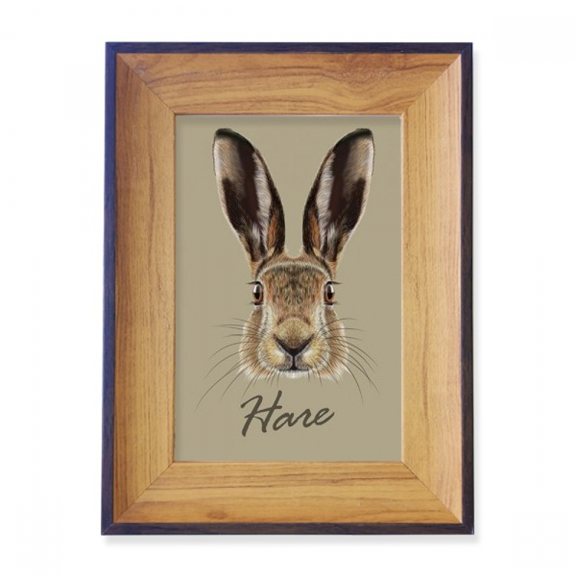 Grey Big-nosed Hare Animal Photo Frame Exhibition Display Art Desktop Painting