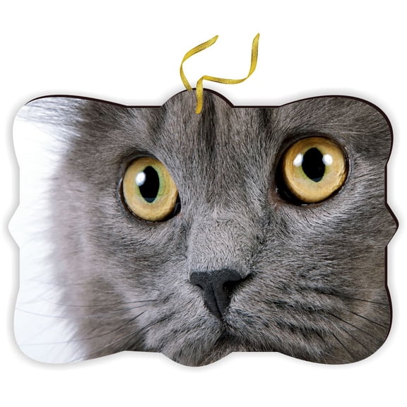 Grey Cat Face Close-Up - for Car Interior Rear View Mirror Hanger Car Accessories Interior Decoration Hanging Ornament Fancy Christmas Tree Ornament for Christmas