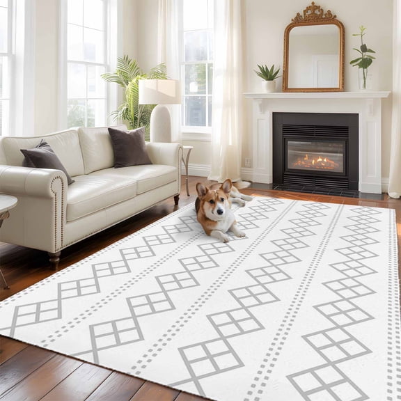Grey Checkered Area Rugs 5x7 ft Abstract White Geometric Argyle Stripe Modern Washable Rug Non Slip Indoor Carpet Absorbent Floor Mat for Living Room Bedroom Dining Room
