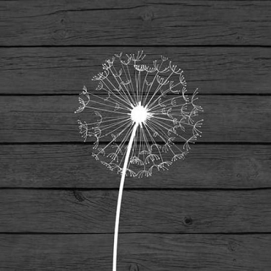 Grey Dandelion I Canvas Art - Tamara Robinson (24 x 24)